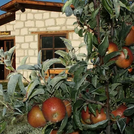 Aladaglar Camping Bungalow Camardi